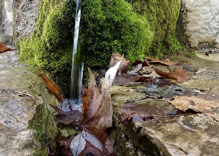 Arhontiko Kefalari ゲストハウス